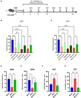 Prevotella histicola Mitigated Estrogen Deficiency-Induced Depression via Gut Microbiota-Dependent Modulation of Inflammation in Ovariectomized Mice